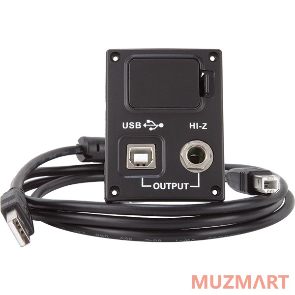 Luna USB UPGRADE Разъем для гитар Luna