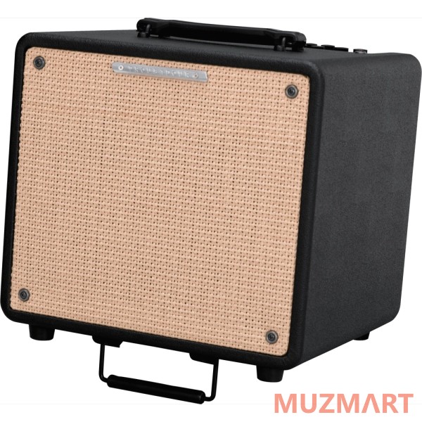 Ibanez T80II TROUBADOUR ACOUSTIC COMBO Комбо для акустической гитары