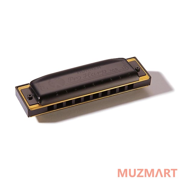 Hohner Pro Harp 562/20 MS Bb (M564116) Губная гармоника