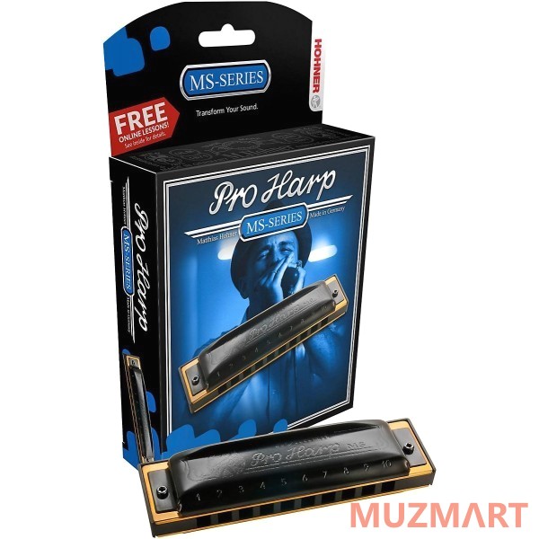 Hohner Pro Harp 562/20 MS C (M564016X) Губная гармоника с уроками