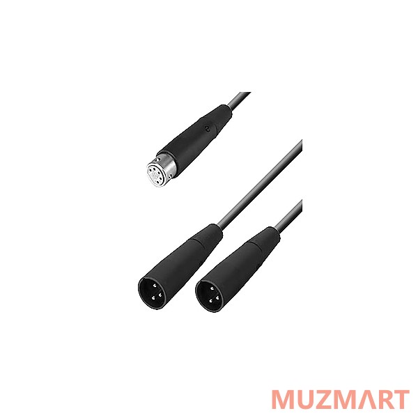 Neumann AC 20 кабель для блока питания