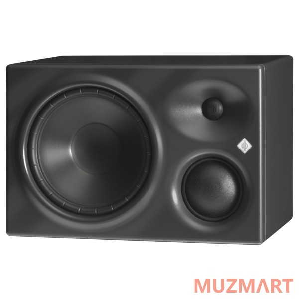 Neumann KH 310 A R G Студийный монитор (правый)