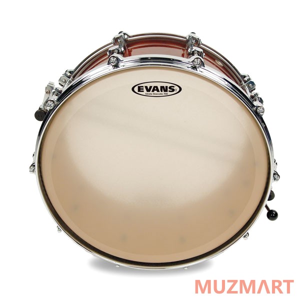 Evans CS14SS Пластик для концертного малого барабана 14"