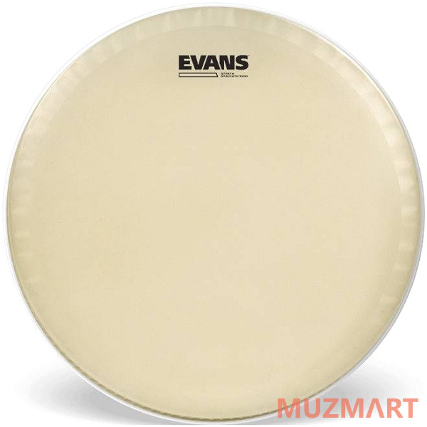 Evans CT14SS Пластик для концертного малого барабана 14"