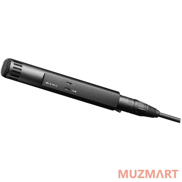 Sennheiser MKH 50 P48 Микрофон конденсаторный