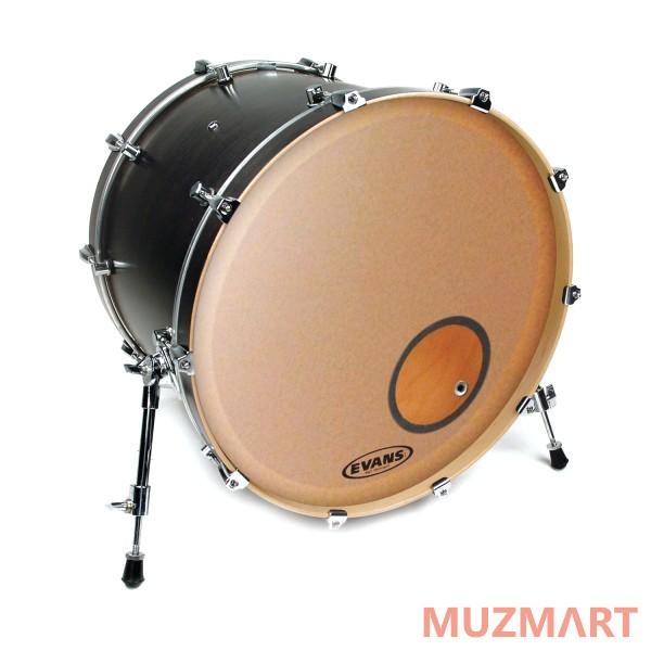 Evans BD20RGC Пластик для бас-барабана 20"