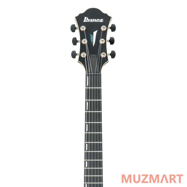 Ibanez AFC125-BKF Archtop полуакустическая гитара