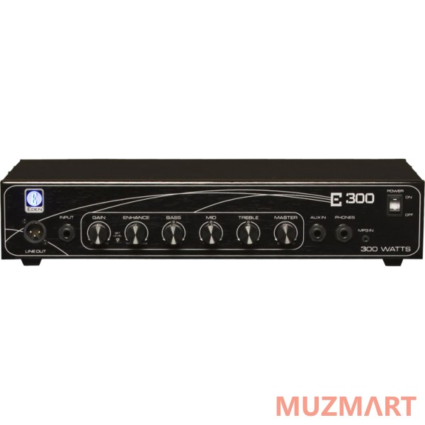 Eden E300 BASS HEAD басовый усилитель 'голова', 300Вт