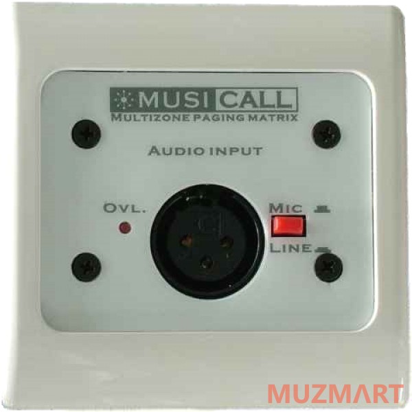 Musicall MRA-1 Панель для подключения дополнительного местного источника звука